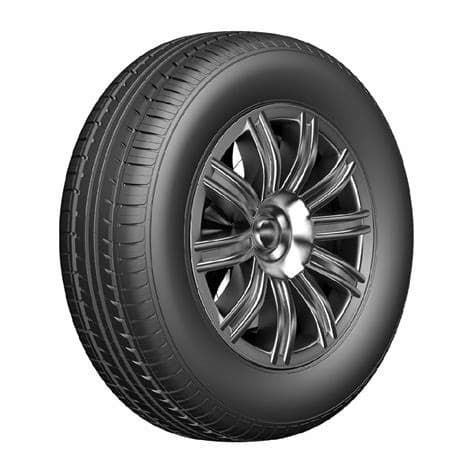 Foto del producto Double Coin dc 90 205/55R16